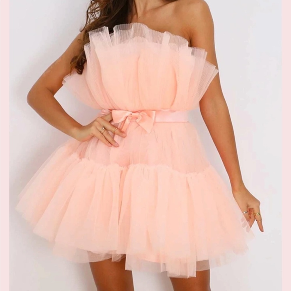 Tulle Pink Dress.